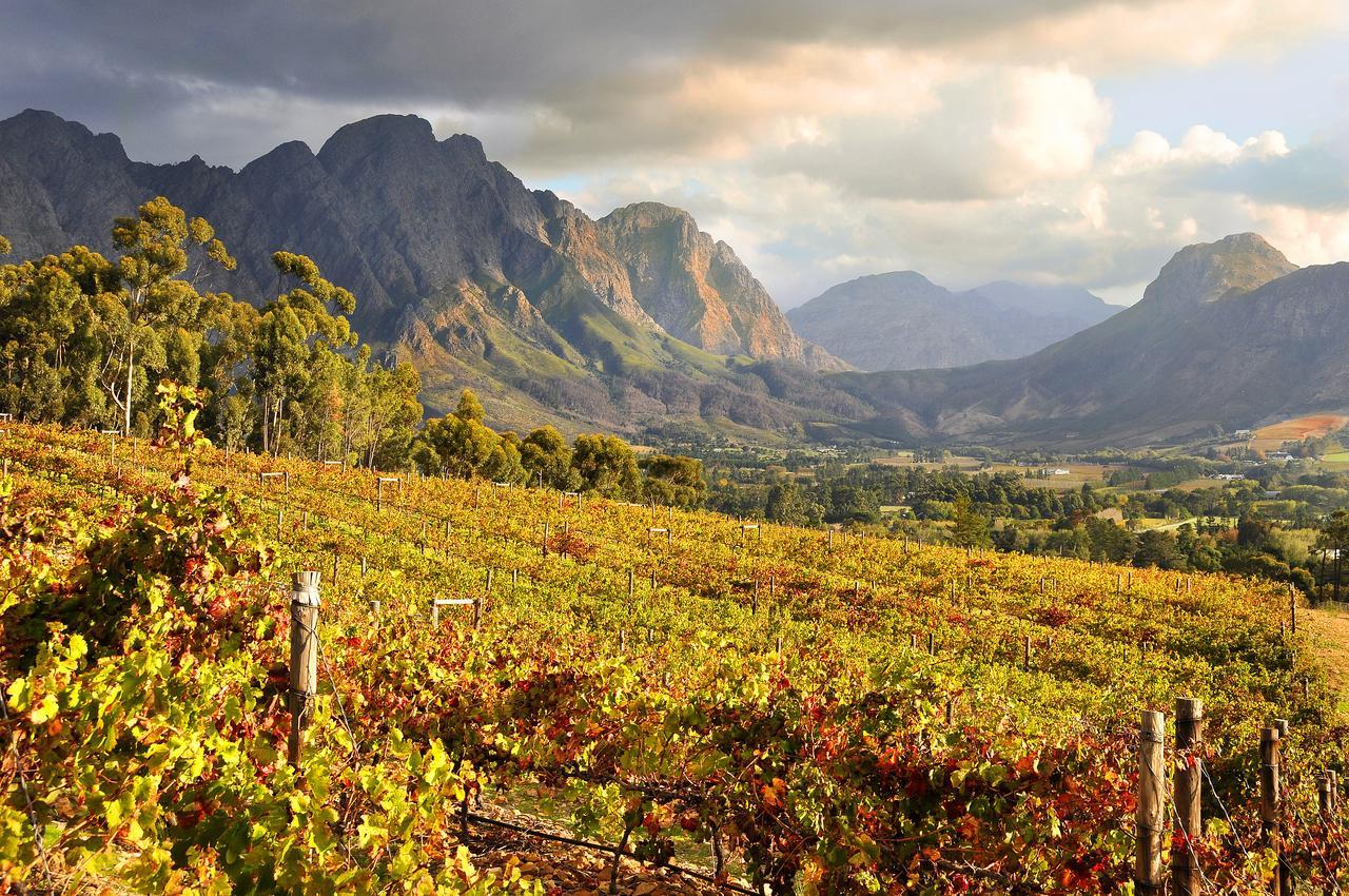 La Petite Ferme Hotel Franschhoek Bagian luar foto
